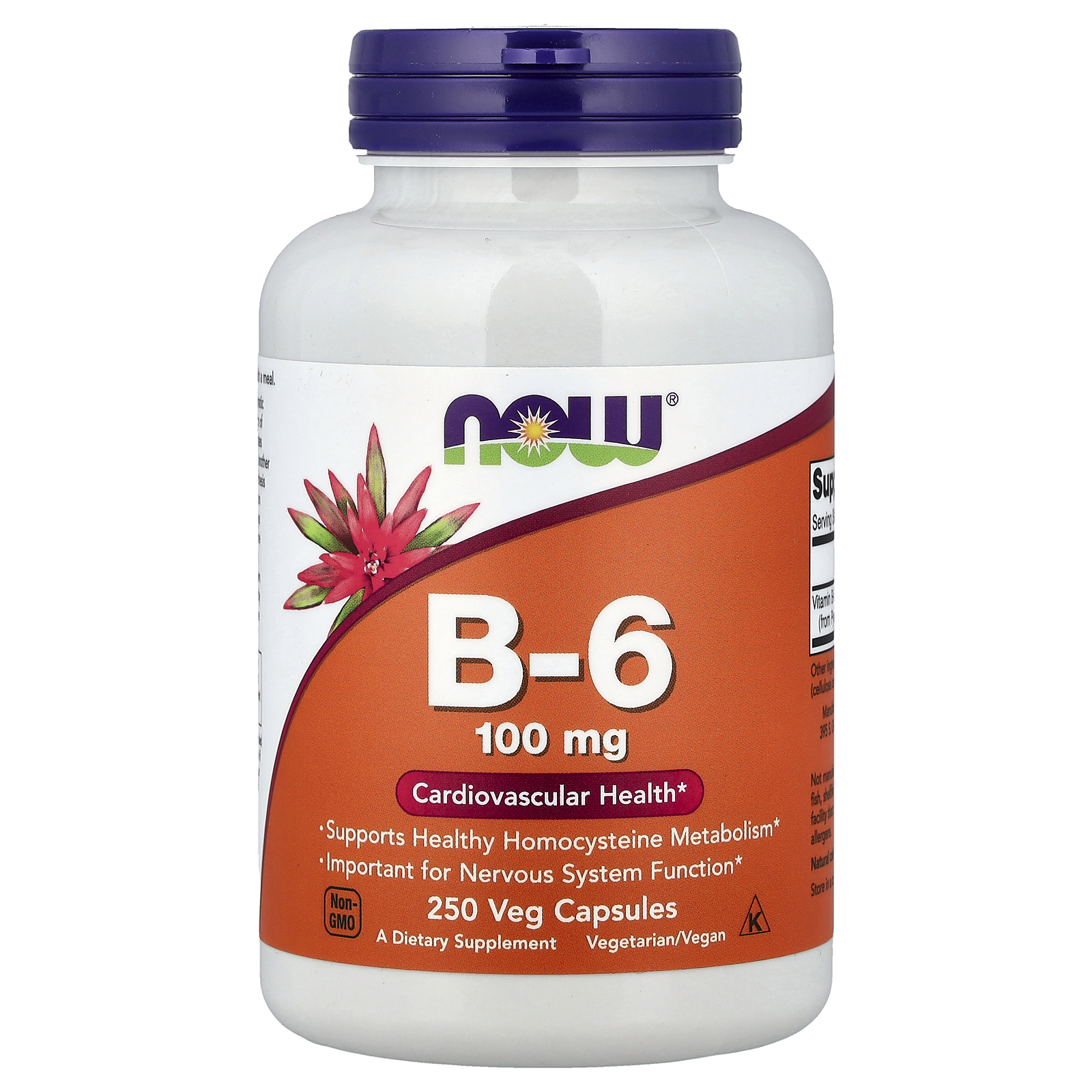 Вітамін В6, Now Foods Vitamin B-6, 100 мг, 250 вегетаріанських капсул