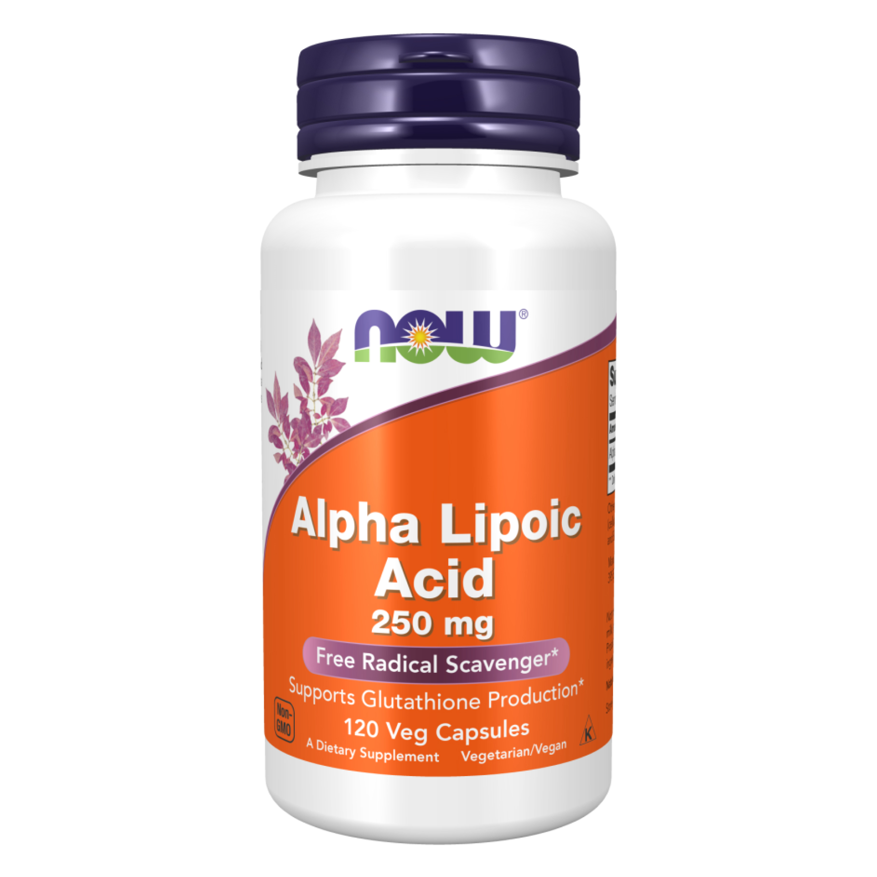 Альфа-ліпоєва кислота, Now Foods Alpha Lipoic Acid, 250 мг, 120 вегетаріанських капсул