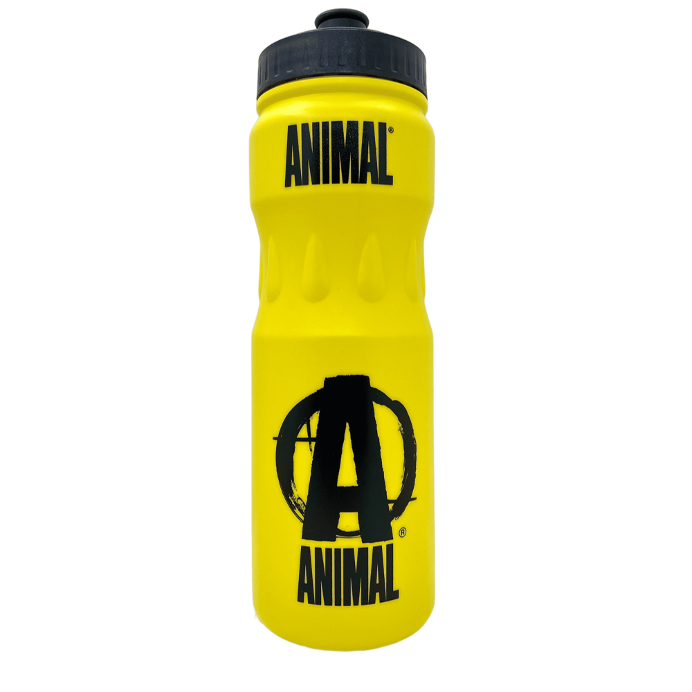 Фляга для води, Animal Sports Animal, 500 мл