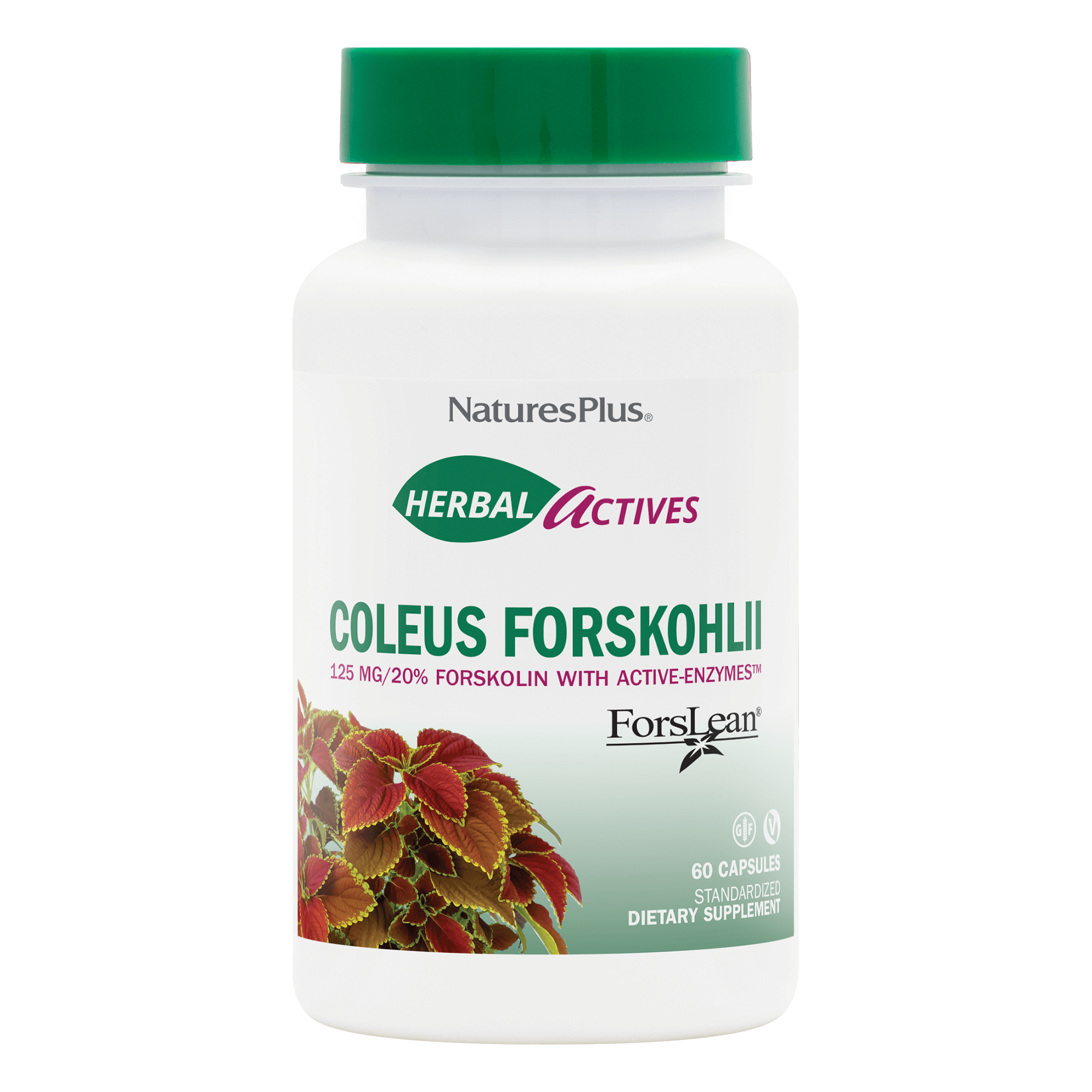 Форсколін, Natures Plus Herbal Actives Coleus Forskohlii, 125 мг, 60 вегетаріанських капсул