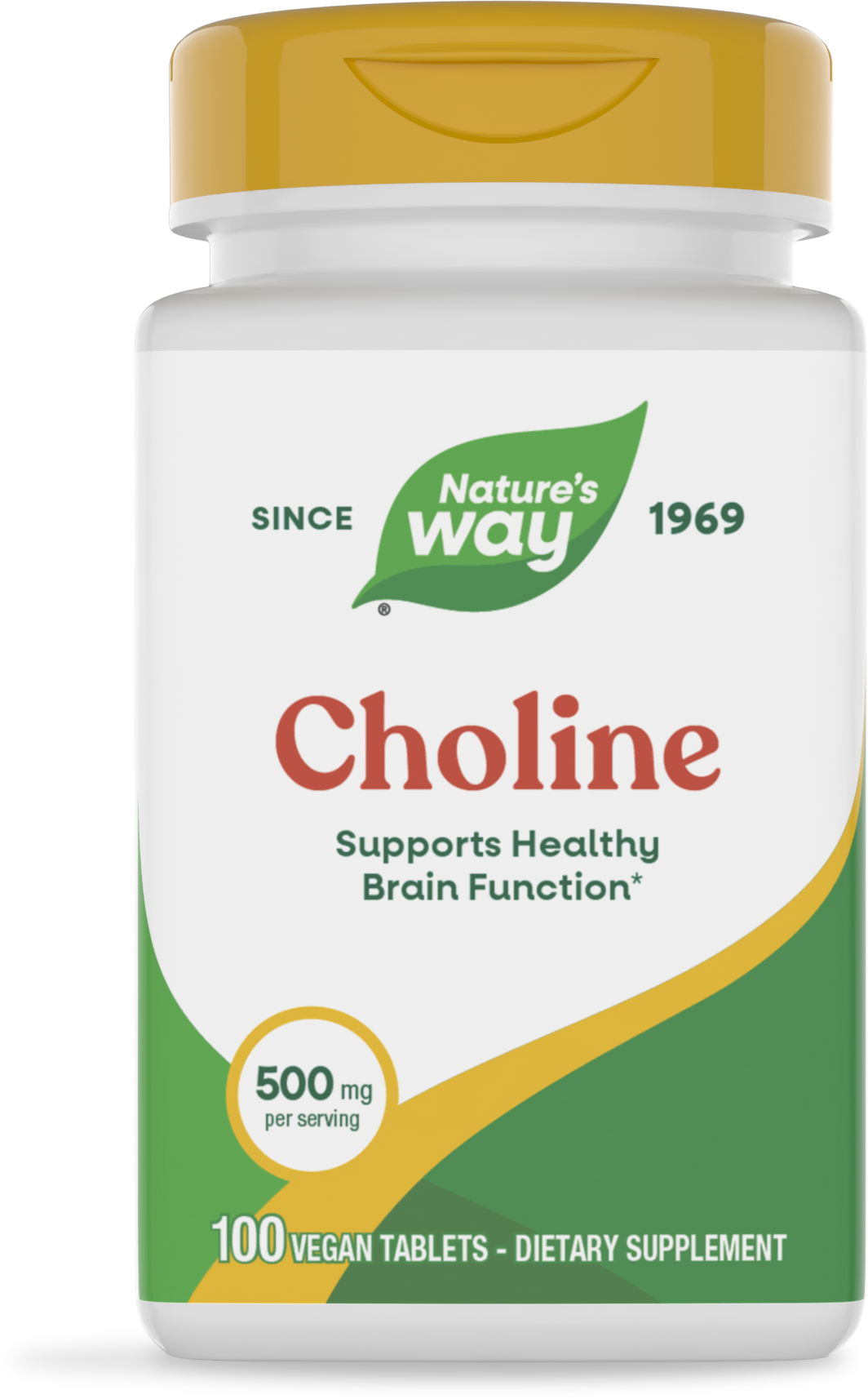 Холін, Nature's Way Choline, 500 мг, 100 таблеток