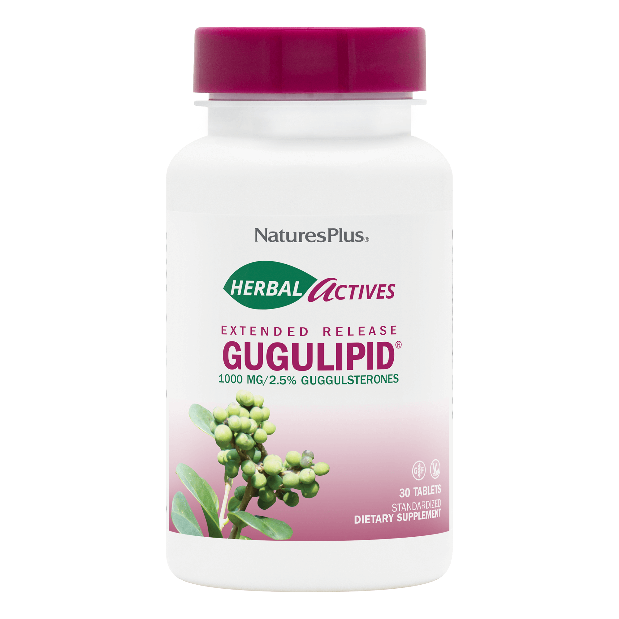 Гуггул, Natures Plus Herbal Actives Gugulipid Extended Release, 1000 мг, 30 таблеток з уповільненим вивільненням