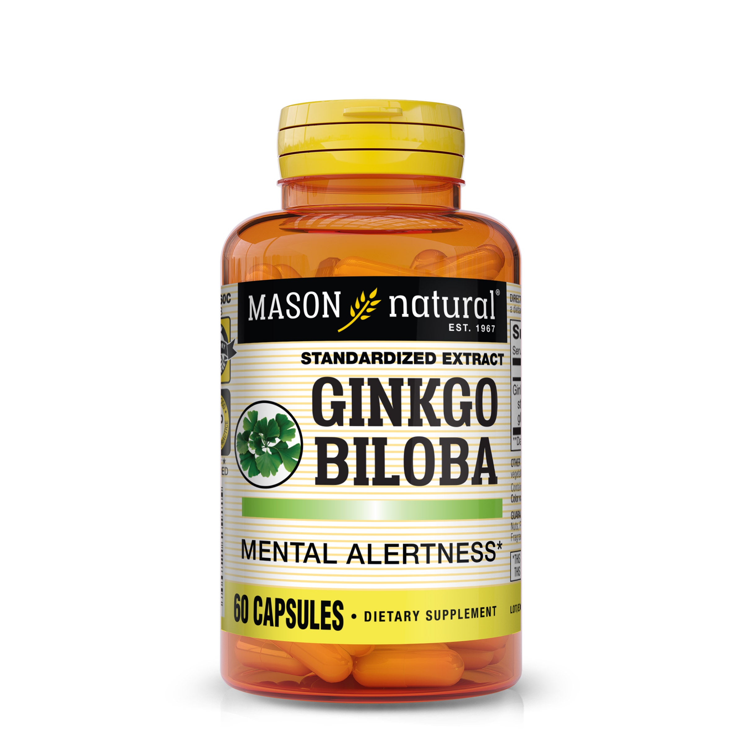 Гінкго Білоба Екстракт, Ginkgo Biloba, Mason Natural, 60 капсул