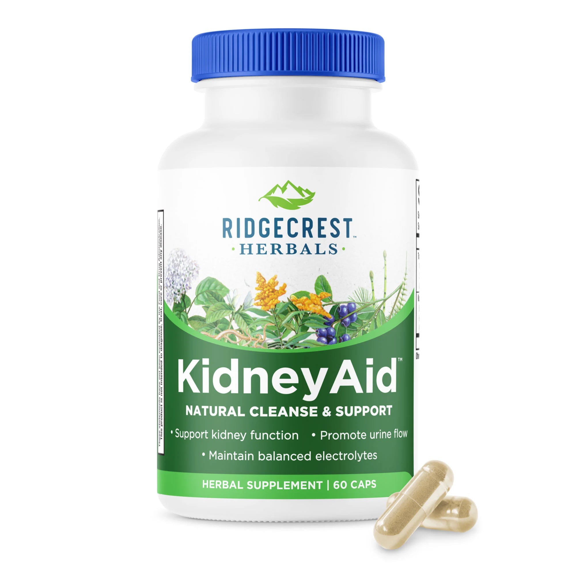 Комплекс для підтримки функції нирок, Ridgecrest Herbals KidneyAid, 60 вегетаріанських капсул