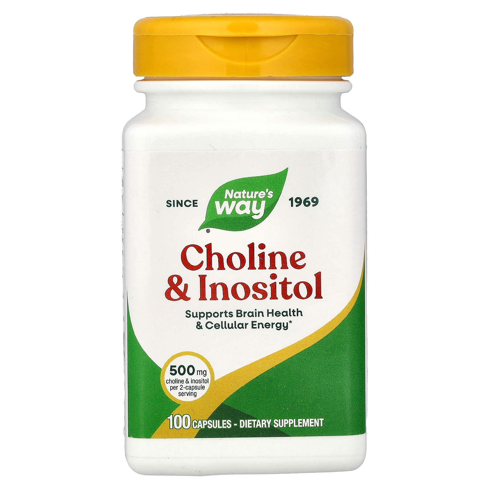 Холін та інозитол для підтримки нервової системи, Nature's Way Choline & Inositol, 1000 мг, 100 капсул
