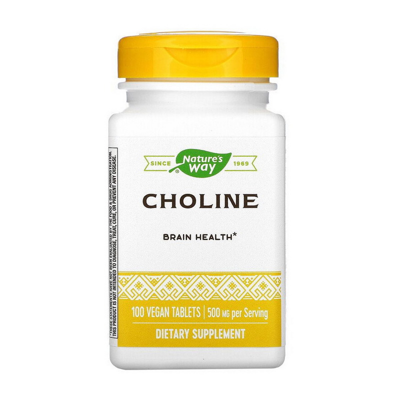 Холін, Nature's Way Choline, 500 мг, 100 вегетаріанських капсул