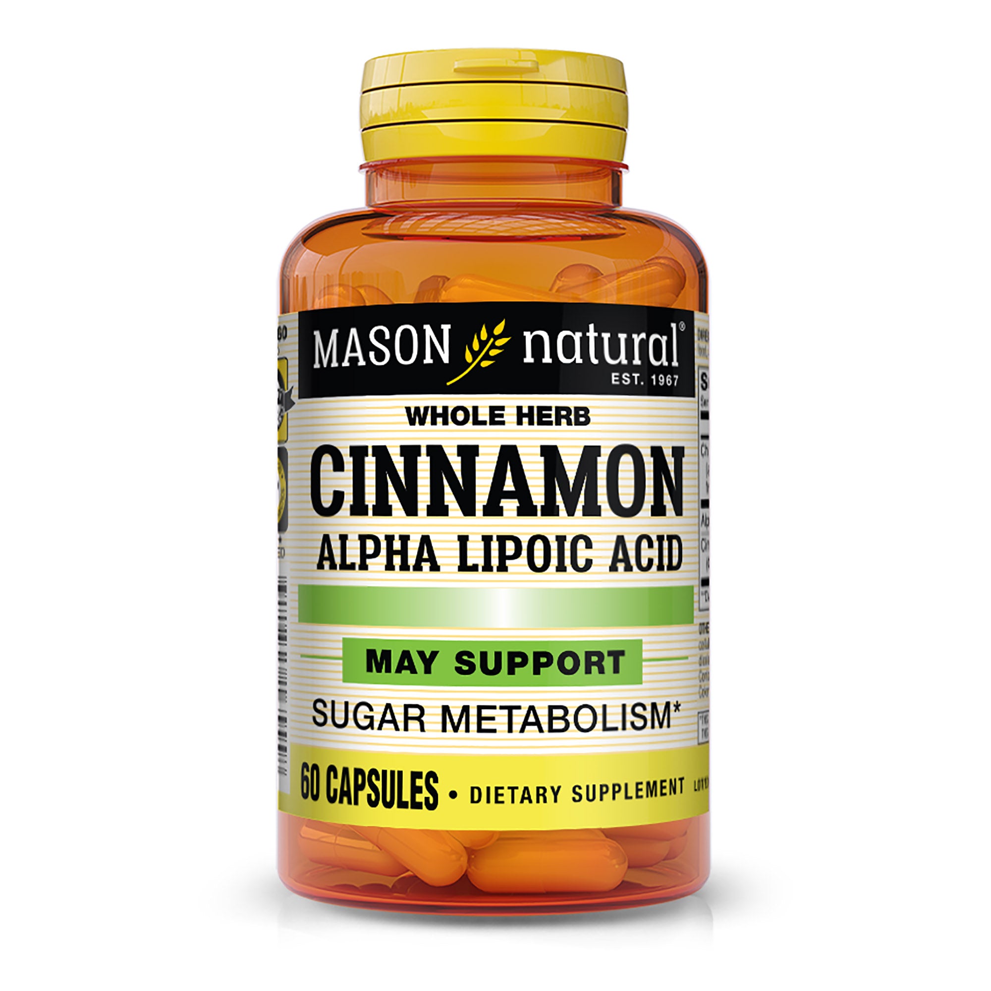 Кориця з альфа-ліпоєвою кислотою, Mason Natural Cinnamon Alpha Lipoic Acid, 60 капсул