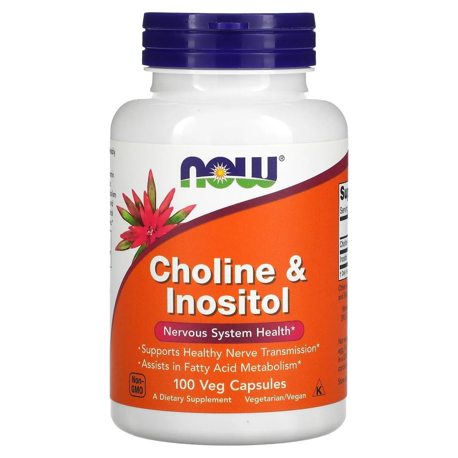 Холін і інозитол, Now Foods Choline & Inositol, 500 мг, 100 вегетаріанських капсул
