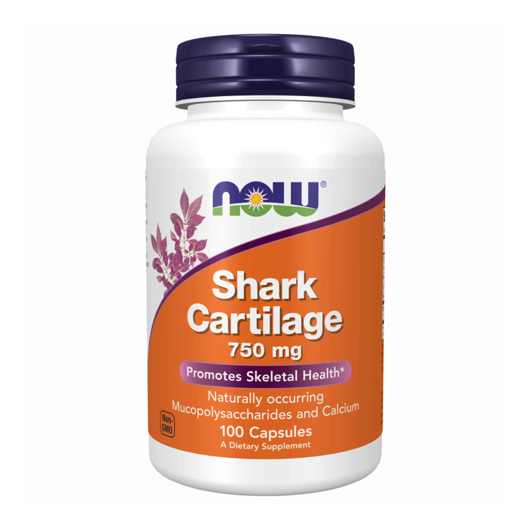 Акулячий хрящ, Now Foods Shark Cartilage, 750 мг, 100 капсул