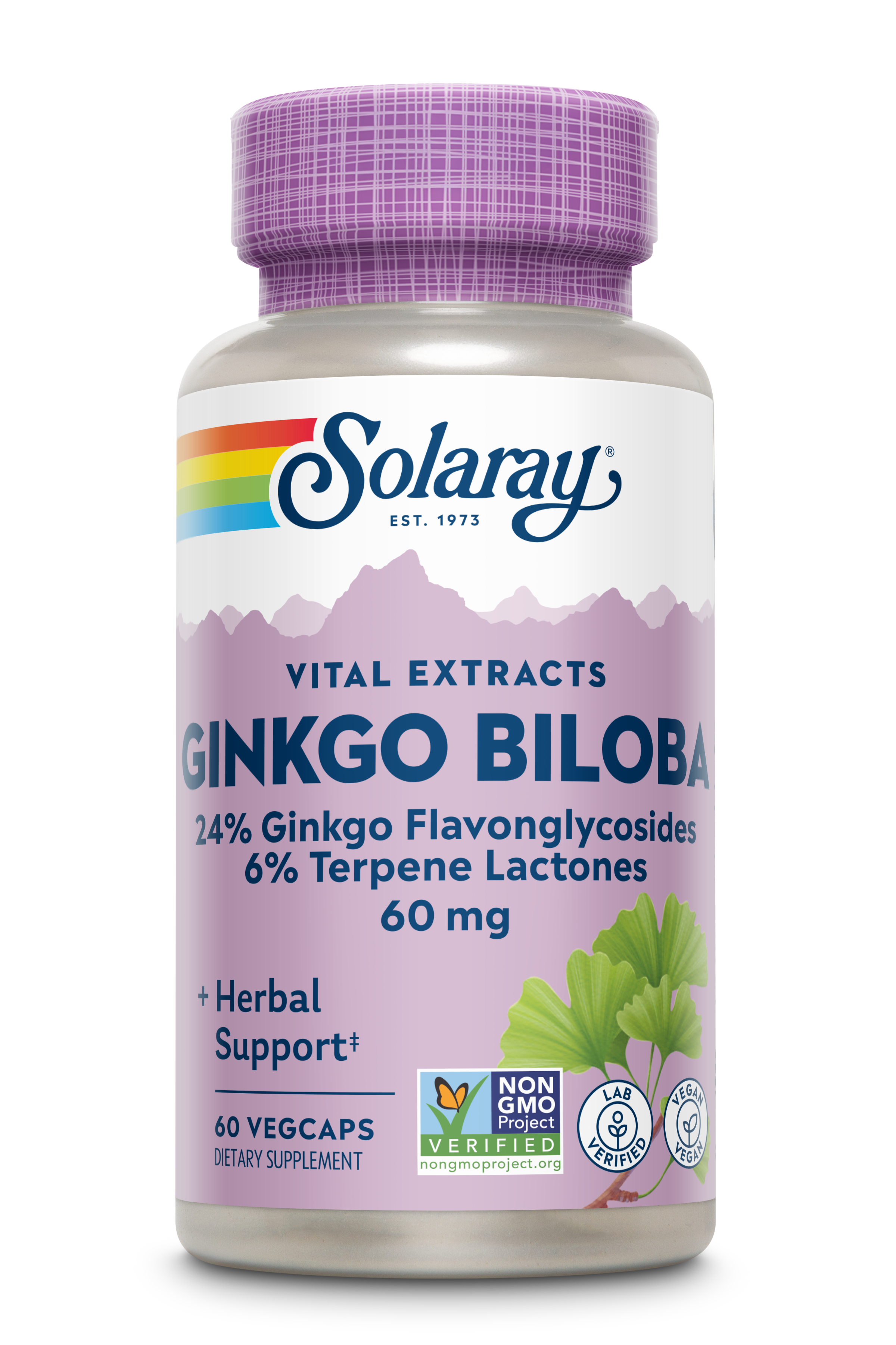 Гінкго білоба, Solaray Ginkgo Biloba Leaf Extract, 60 мг, 60 вегетаріанських капсул
