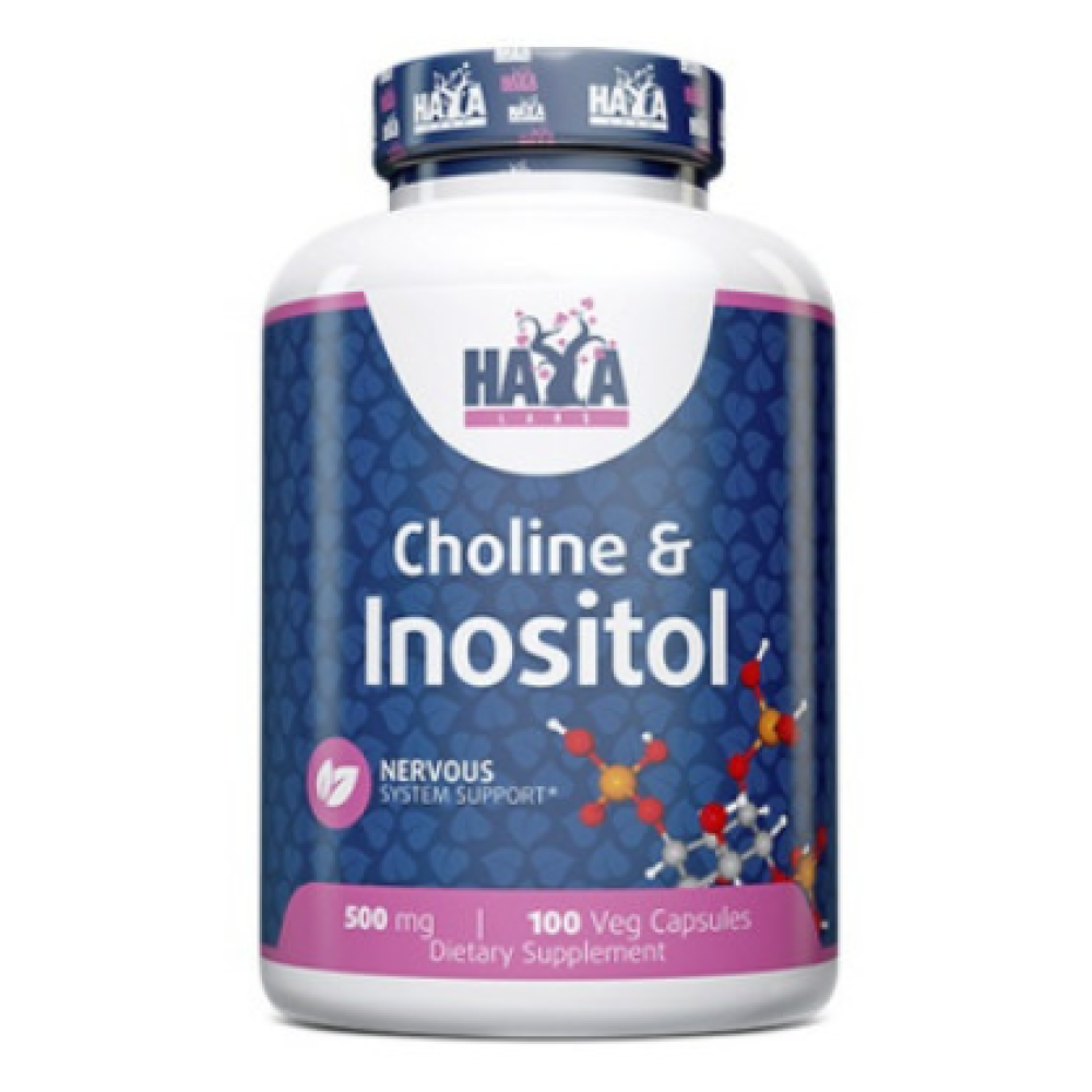 Холін та інозитол, Haya Labs Choline & Inositol, 500 мг, 100 вегетаріанських капсул