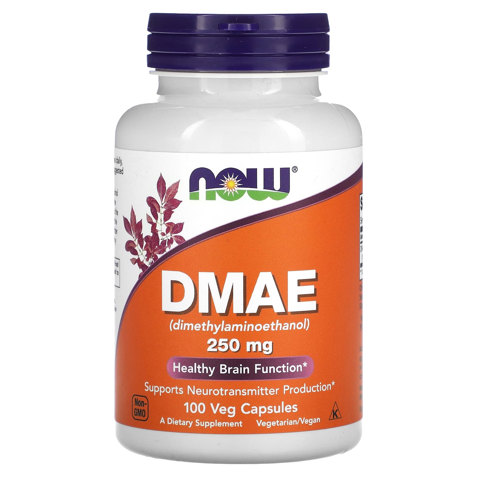 DMAE (диметиламіноетанол), Now Foods DMAE, 250 мг, 100 вегетаріанських капсул