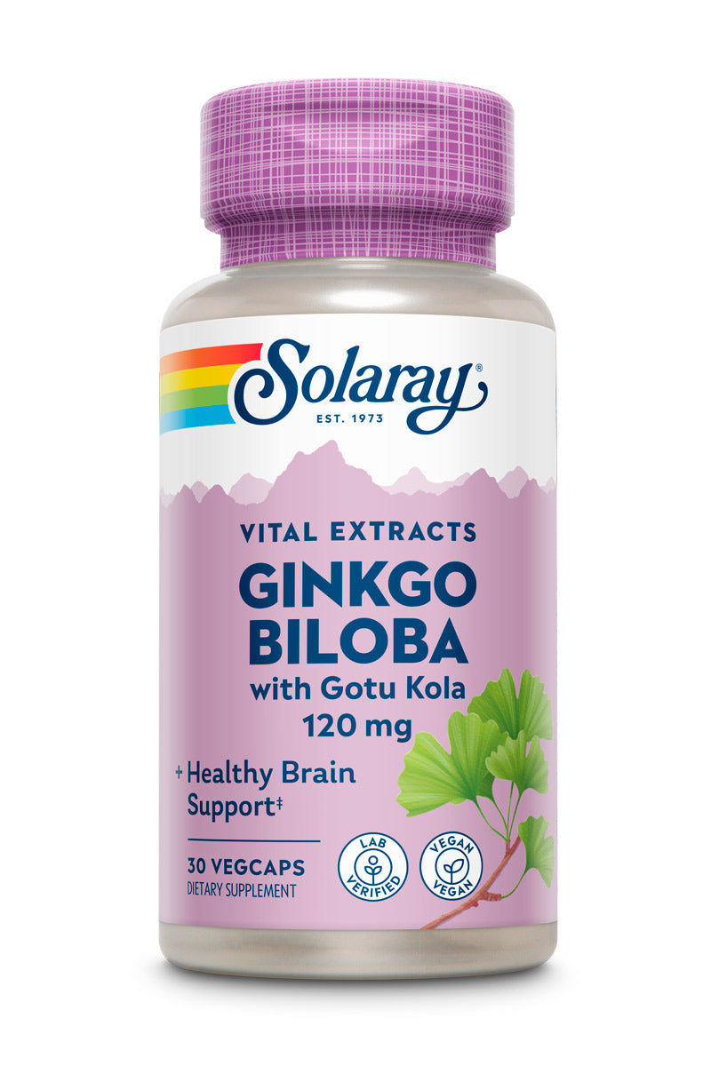 Ginkgo Biloba Extract One 120mg - 30 vcaps