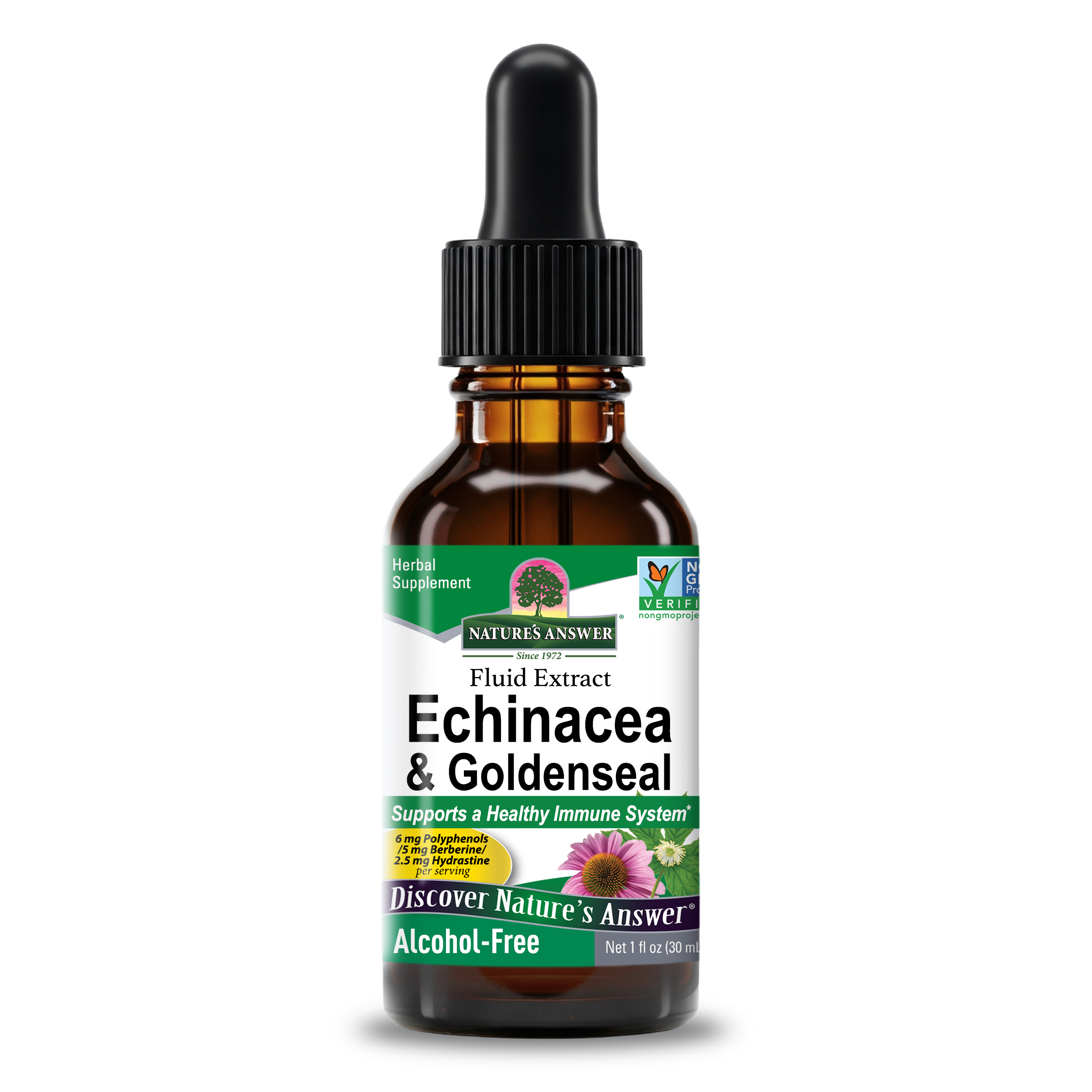Ехінацея та жовтокорінь для імунітету, Nature's Answer Echinacea & Goldenseal, Alcohol-Free, 30 мл