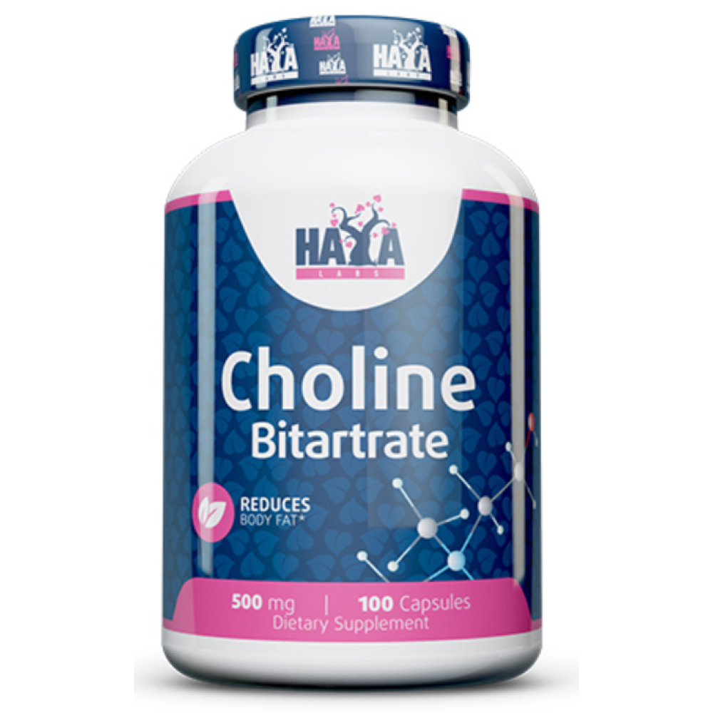 Холін бітартрат, Haya Labs Choline Bitartrate, 500 мг, 100 капсул