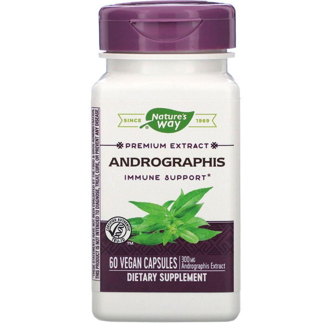 Андрографіс, Nature's Way Andrographis, 300 мг, 60 вегетаріанських капсул