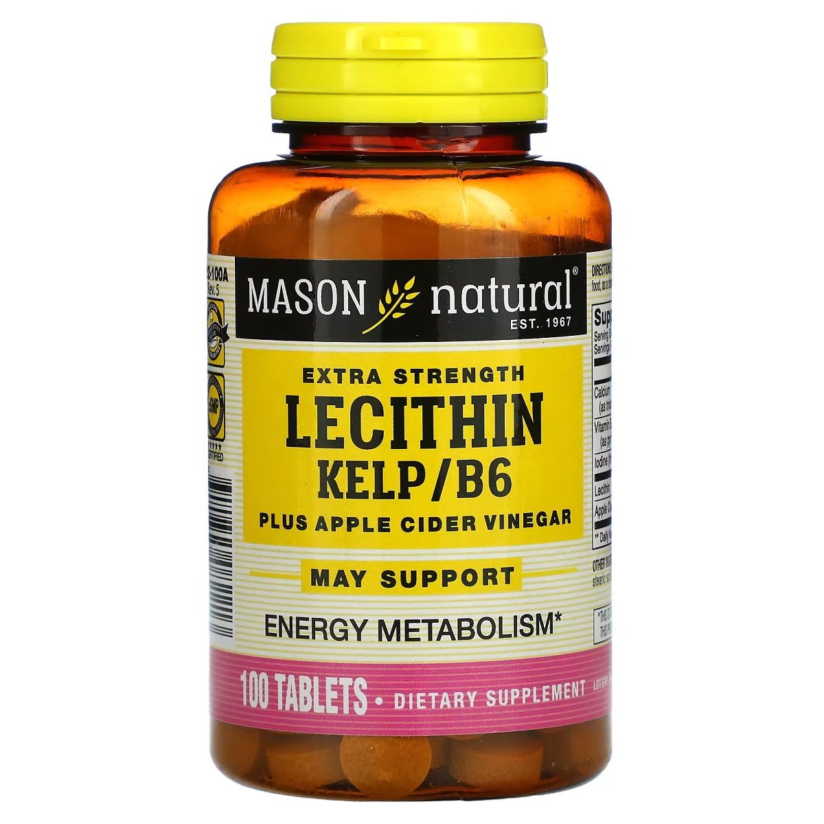 Лецитин з водоростями, вітаміном B6 та яблучним оцтом, Mason Natural Extra Strength Lecithin Kelp B6 Apple Cider Vinegar, 100 таблеток