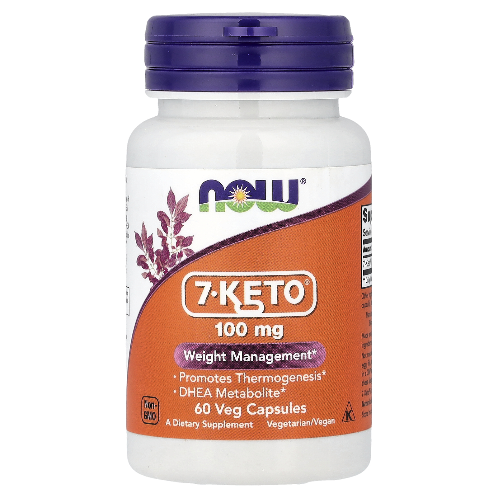 7 кето Дегідроепіандростерон, 7-Keto, NOW Foods, 100 мг, 60 вегетаріанських капсул