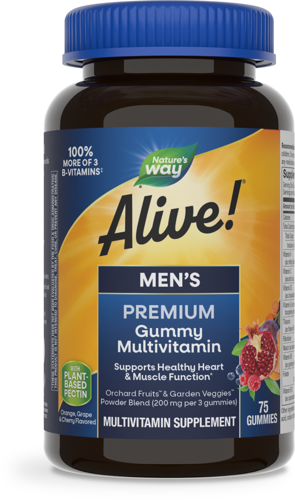 Мультивитамины для мужчин, Nature's Way Alive! Men's Premium Gummy Multivitamin, 75 жевательных конфет (Фруктовий)