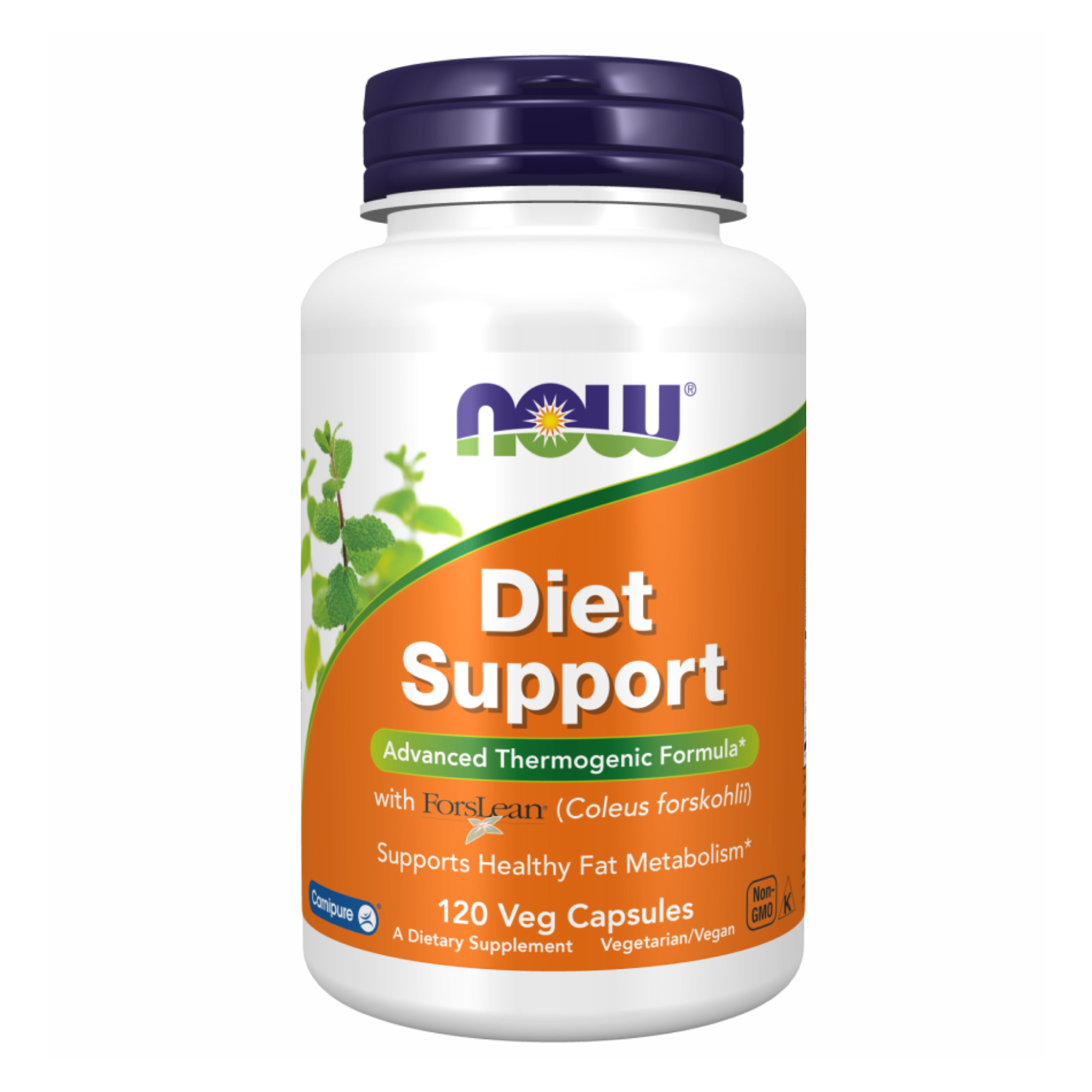 Підтримка здорового метаболізму жирів, Diet Support, Now Foods, термогенна формула, 120 вегетаріанських капсул