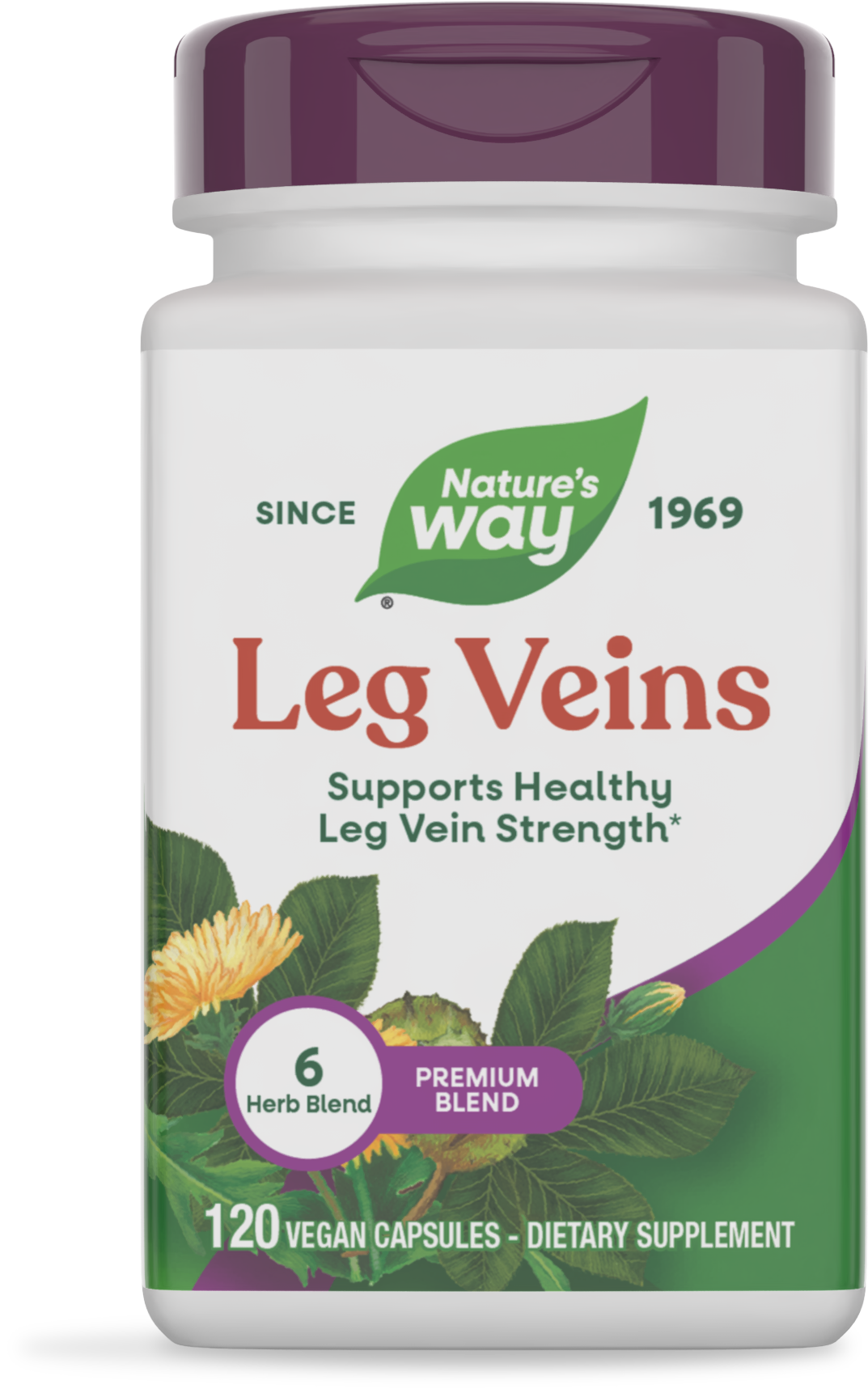 Комплекс для підтримки здоров'я вен, Nature's Way Leg Veins Premium Blend, 120 вегетаріанських капсул