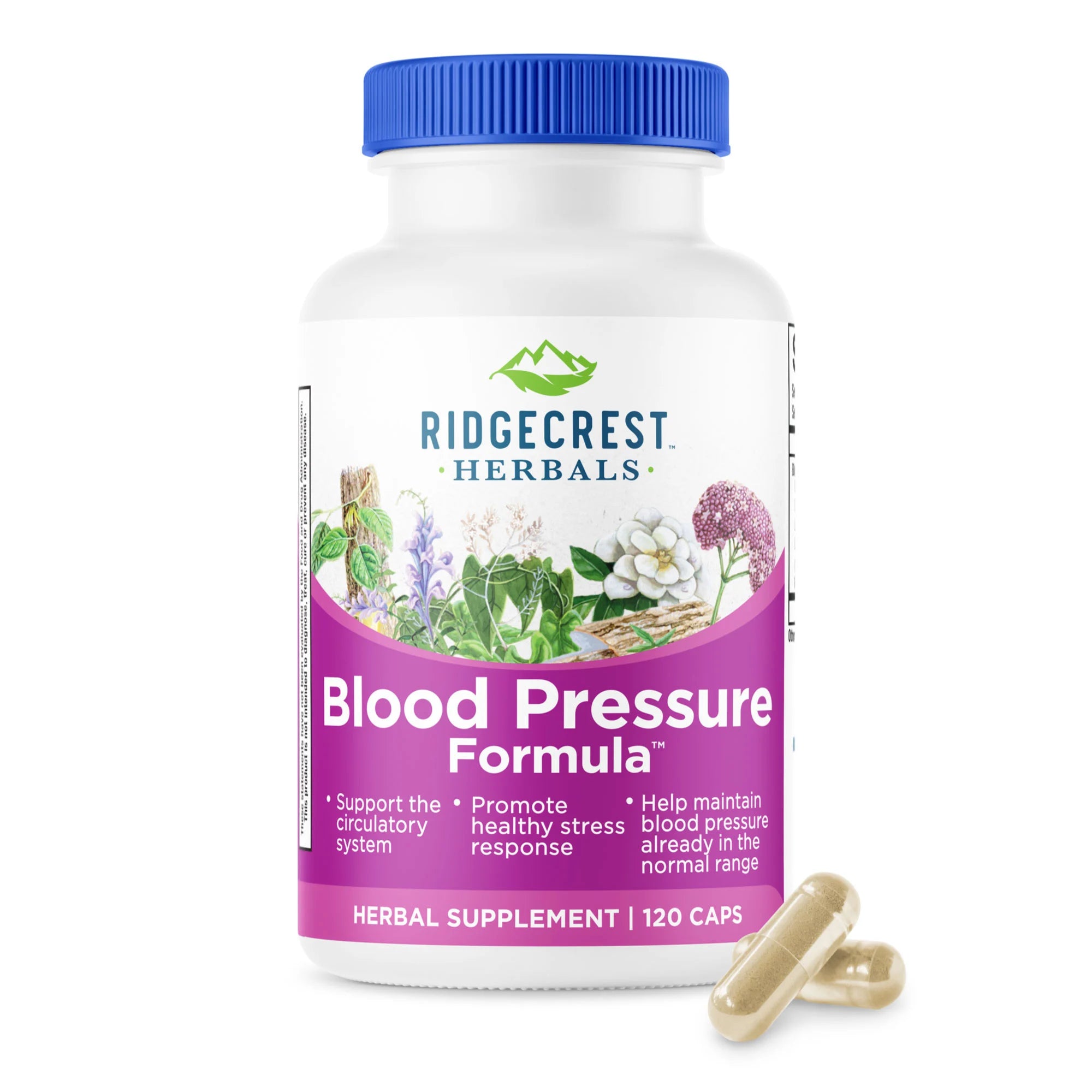 Комплекс для нормалізації кров'яного тиску, Ridgecrest Herbals Blood Pressure, 120 м'яких капсул